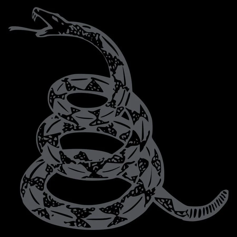 Don't Tread on Me Concealed Gadsden T-Shirt- Black - Image 5