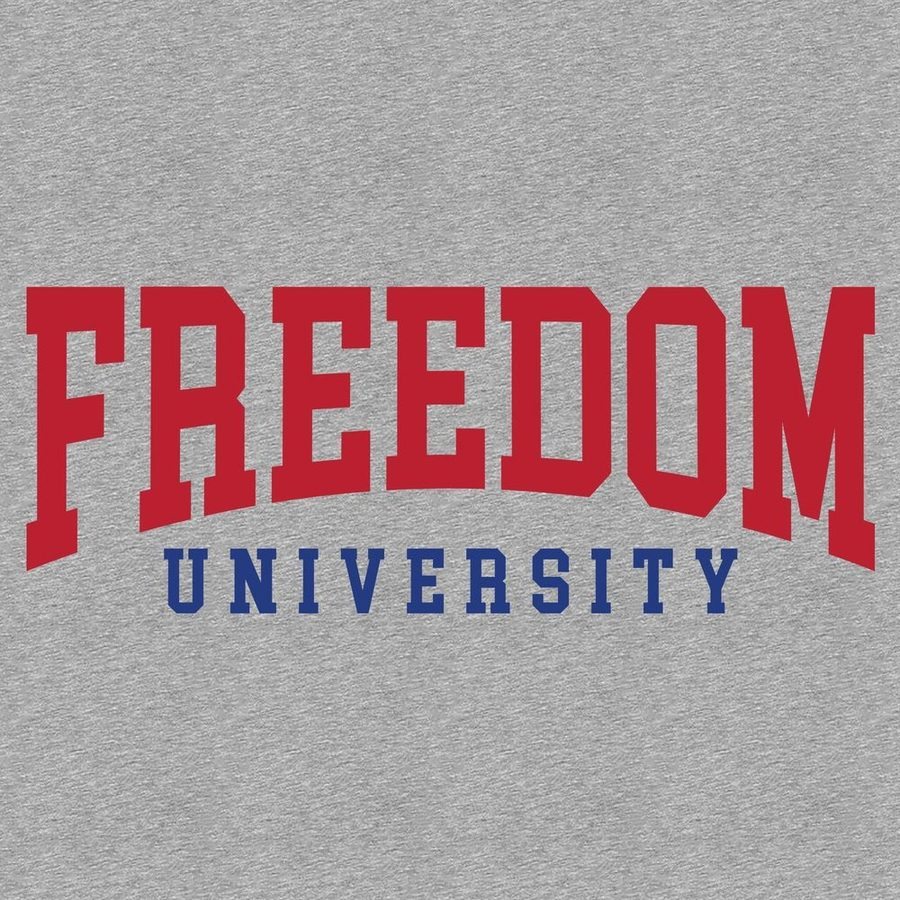 Freedom University Hoodie - Sport Gray - Image 4