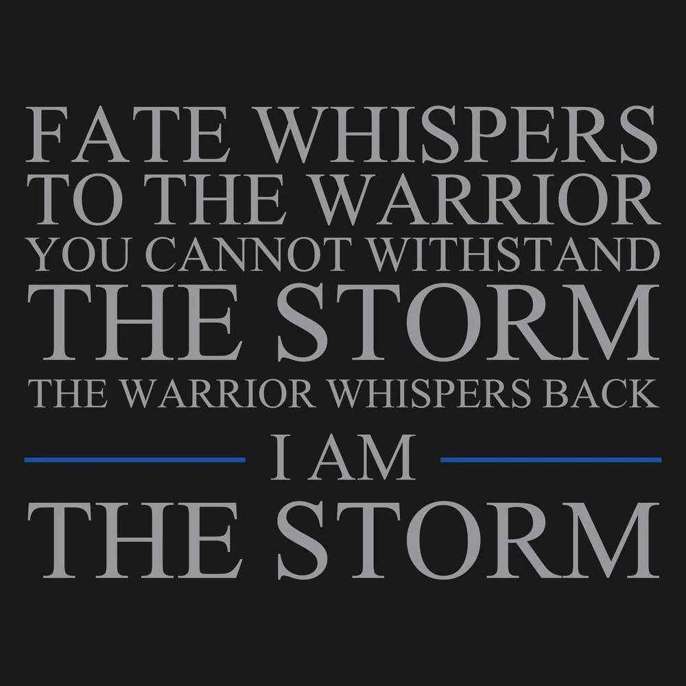 I Am The Storm T-Shirt - Black - Image 5