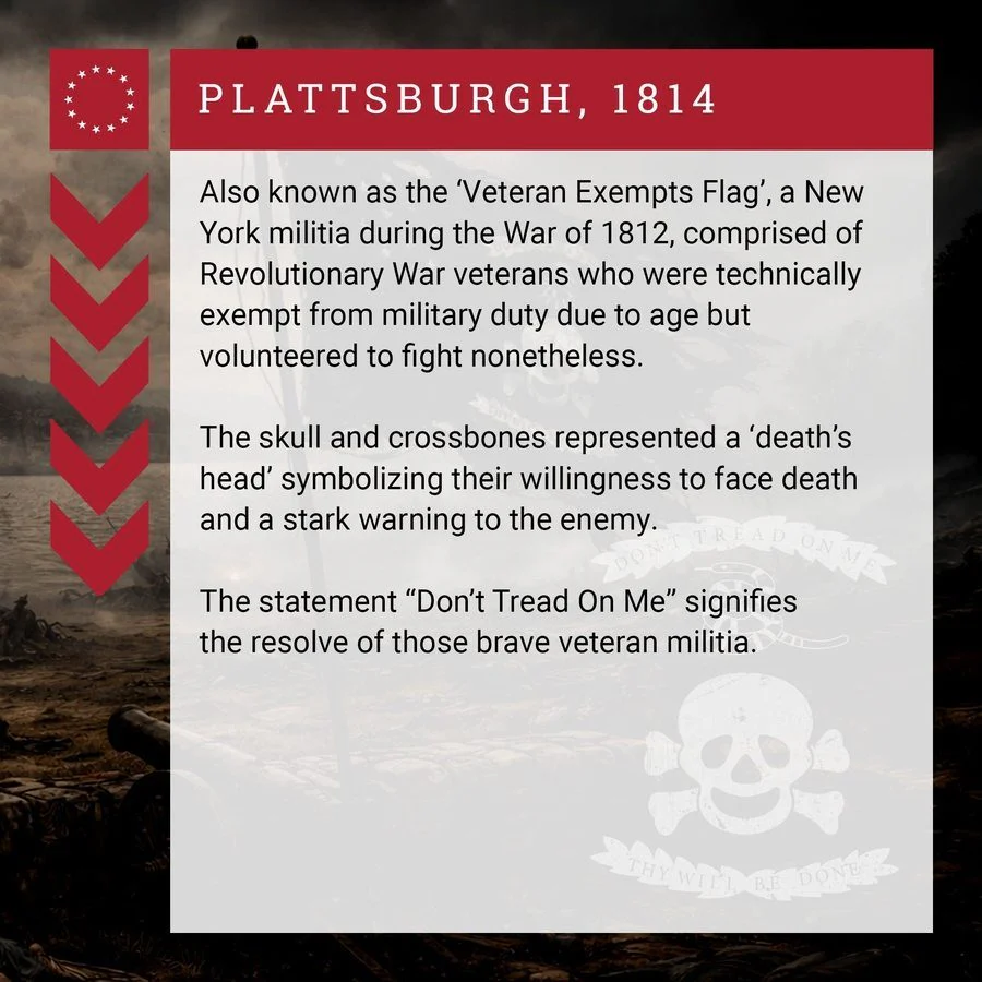 Veteran Exempt Flag - Image 3